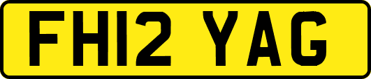 FH12YAG
