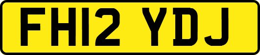 FH12YDJ