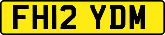 FH12YDM