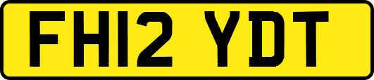 FH12YDT