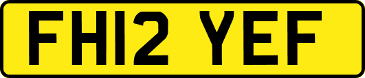 FH12YEF