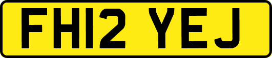 FH12YEJ