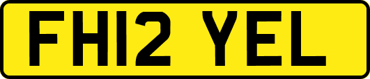 FH12YEL