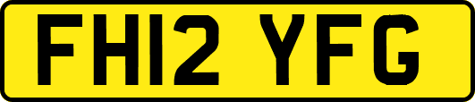 FH12YFG