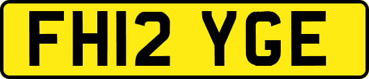 FH12YGE