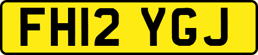 FH12YGJ