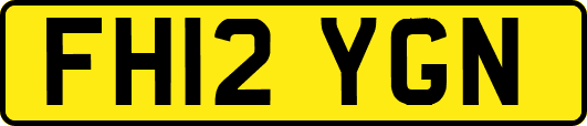 FH12YGN