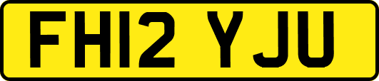 FH12YJU
