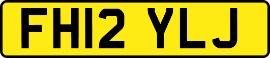 FH12YLJ