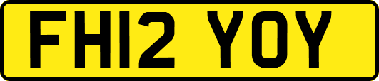 FH12YOY