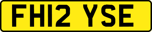 FH12YSE