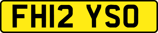 FH12YSO