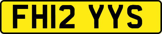 FH12YYS