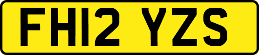 FH12YZS