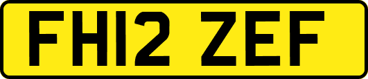 FH12ZEF