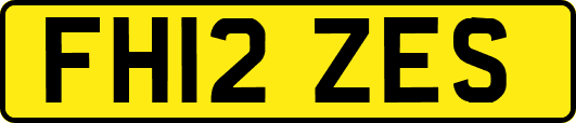 FH12ZES