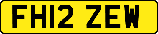FH12ZEW