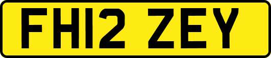 FH12ZEY