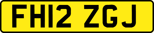 FH12ZGJ