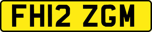 FH12ZGM