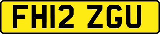 FH12ZGU