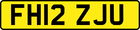 FH12ZJU