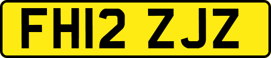 FH12ZJZ