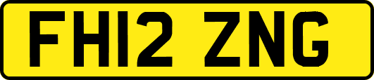 FH12ZNG