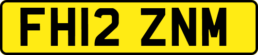 FH12ZNM