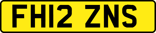 FH12ZNS