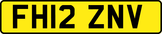 FH12ZNV