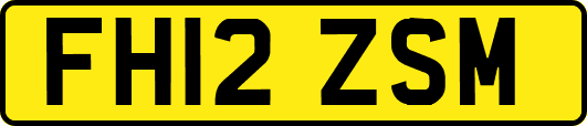 FH12ZSM