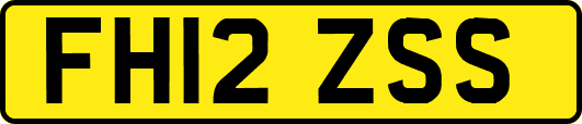 FH12ZSS