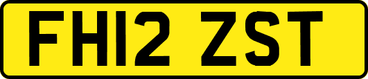 FH12ZST