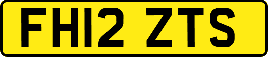 FH12ZTS