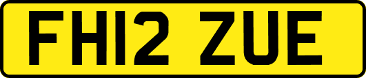FH12ZUE