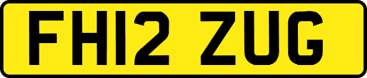 FH12ZUG