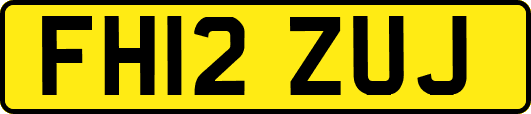 FH12ZUJ