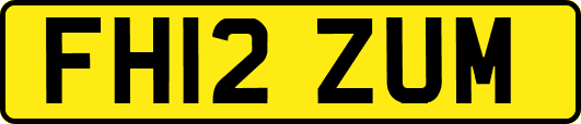 FH12ZUM
