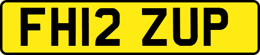 FH12ZUP