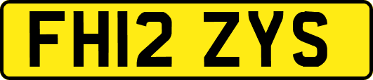 FH12ZYS