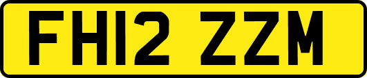 FH12ZZM