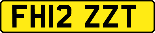 FH12ZZT