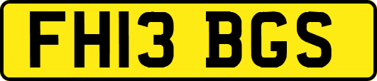 FH13BGS