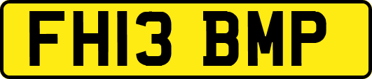 FH13BMP