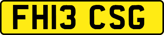 FH13CSG