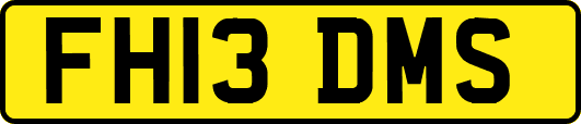 FH13DMS
