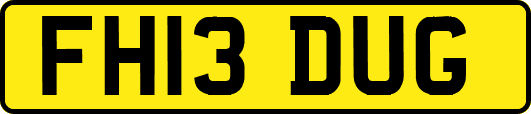 FH13DUG