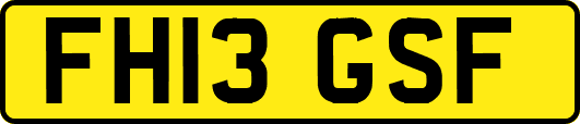 FH13GSF