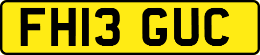 FH13GUC